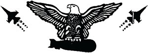 american-empire-project-newsletter-header